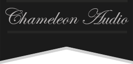 Chameleon Audio - cables hi-fi - turntable